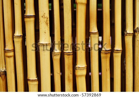 trunks wallpaper. bamboo trunk background