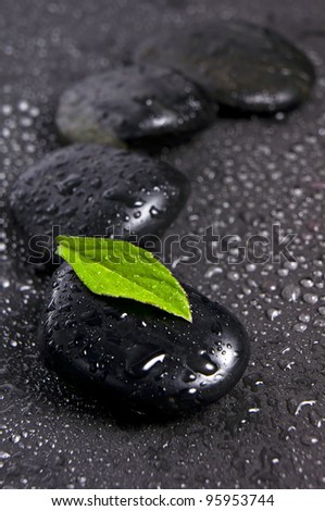 zen stones and green leaf with water drops