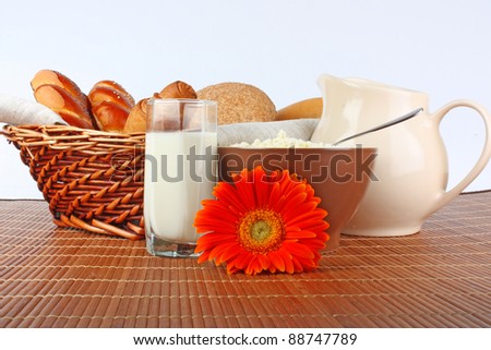 Fresh breads and milk in jug and glass, cottage cheese in bowl and flower