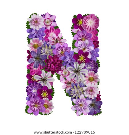 alphabet made of flower  letter n