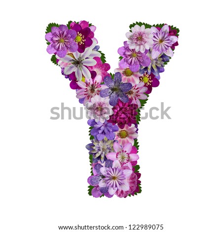 alphabet made of flower  letter y