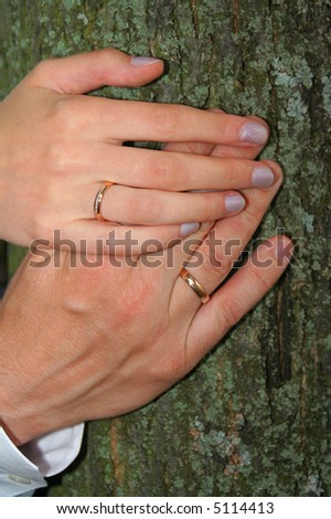 Hands with wedding rings on the tree background