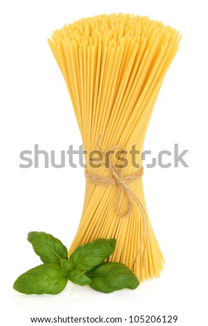Spaghetti pasta tied in a bunch with string and basil herb leaf sprig over white background.