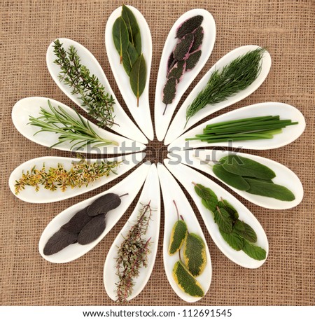 Fresh herb selection of varieties of sage, thyme, fennel, chives, mint, rosemary and bay leaf sprigs in white porcelain dishes over hessian background.