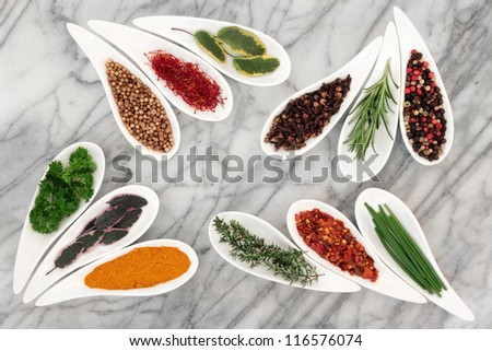 Herb and spice selection in white porcelain dishes over marble background.