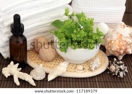 Ladies mantle herb in a mortar with pestle, aromatherapy spa bottle, shells, white,towels and linen sponge, exfoliating rub, and bath balls over bamboo background.
