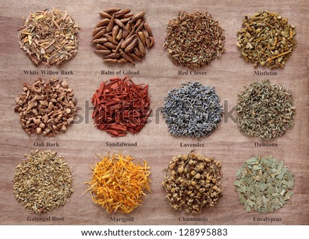 Medicinal herb selection also used in magical potions over papyrus background. Titles provided.