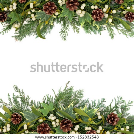 Christmas floral background border with mistletoe, ivy, pine cones and winter greenery over white.