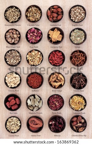 Traditional chinese herbal medicine in wooden bowls over papyrus background with titles.