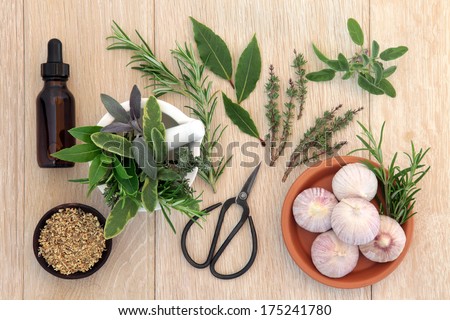 Herb selection with aromatherapy essential oil bottle and old gardening scissors over brown paper background.