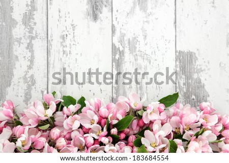 Apple flower blossom forming an abstract border over old distressed wooden background.