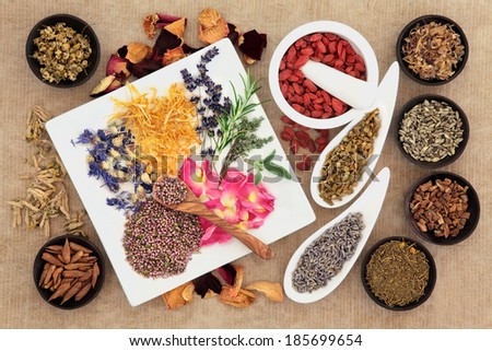 Herbal naturopathic medicine selection also used in pagan witches magical potions over old paper background.