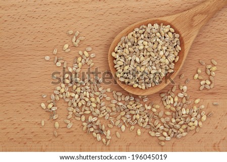 Pearl barley in a wooden spoon over beech wood board.