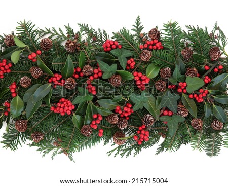 Christmas and winter flora with holly ivy mistletoe spruce fir and pine cones over white background Christmas and winter flora with holly ivy mistletoe spruce fir and pine cones over white background