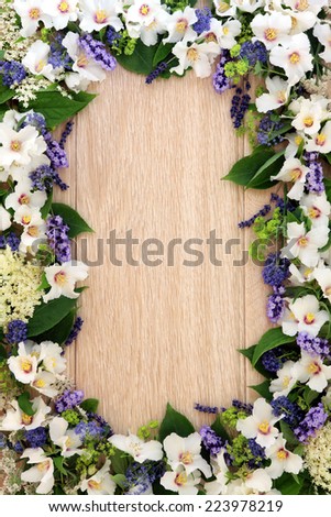 Lavender, elderflower, ceanothus, ladys mantle and philadelphus mock orange flower border over light oak background.