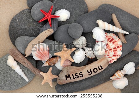 Sea shell, driftwood and pebbles on a sand beach with miss you sign.