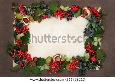 Background border of autumn fruit and nuts over parchment and brown paper background.