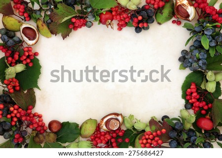 Background border of autumn fruit and nuts over parchment background.