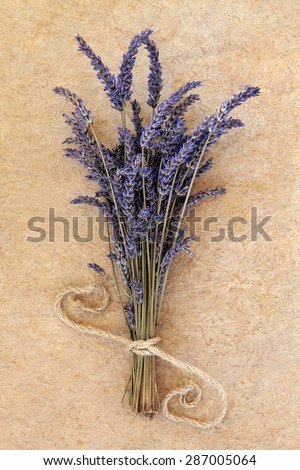 Lavender herb flower bunch over speckled handmade paper background. Lavandula angustifolia.