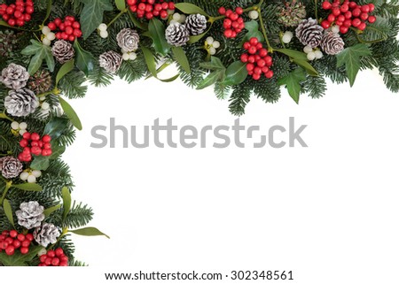 Christmas and winter background border with holly, ivy, mistletoe, blue spruce fir and pine cones over white.