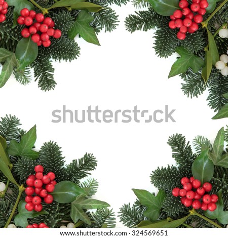 Christmas and winter background border with holly, ivy, mistletoe, blue spruce fir over white.
