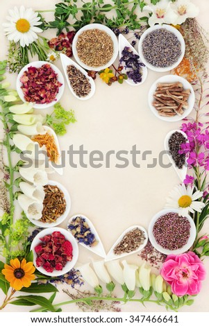 Healing herb and flower selection used in herbal medicine forming a border over speckled handmade cream paper background.
