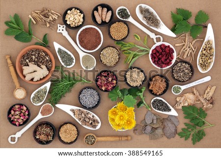 Healing herb and spice selection used in natural alternative medicine for women.