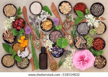 Flower and herb selection used in natural alternative herbal medicine in wooden spoons and bowls with essential oil bottle on hemp paper background.