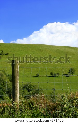 A  fence various fauna in the foregrond and a grassy hillside with trees and a blue sky with clouds in the distance.