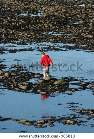 Little boy playing alone  in a rock pool on a beach of pebbles,  pools and seaweed.