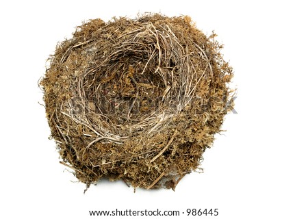 Birds Nest Texture