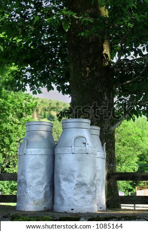Three metal milk churns standing on a ledge under an old oak tree.