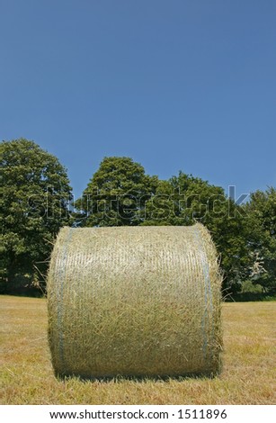 Wrapped organic hay bale standing in a field in summer, with trees and a blue sky to the rear.