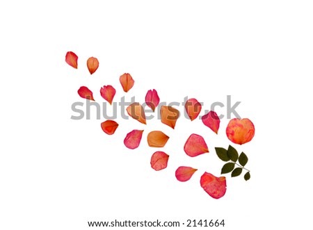 Petals And Leaves