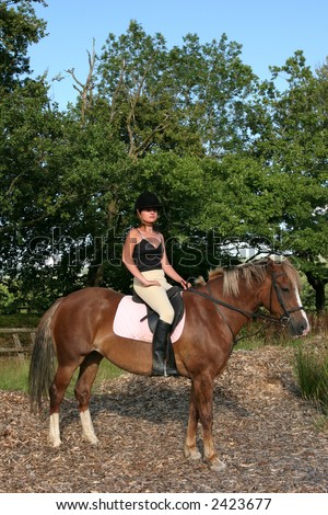 Young woman in riding gear sitting on a Welsh section D horse in a menage, with trees and blue sky to the rear.