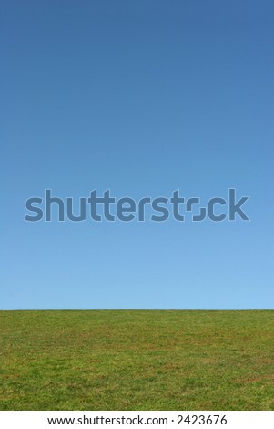 Landscape of grass against a clear blue sky.