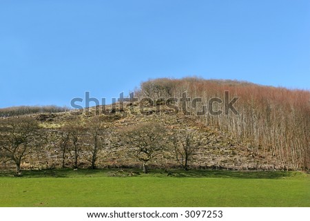 Hillside with areas of forest cut down with areas of trees still remaining. Set against a clear blue sky.