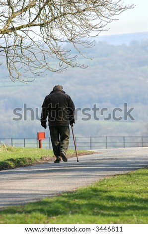 Rear view of an elderly man walking on a path with a walking stick.