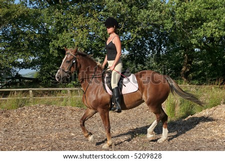 Young woman in riding gear sitting upright on a welsh section d horse with trees and blue sky to the rear.