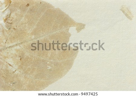 Old cream colored hand made paper with an abstract leaf design in neutral tones.