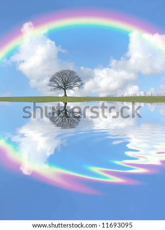 Abstract of an oak tree in winter standing  on an area of grass, with reflection in rippled water. Set against a blue sky with cumulus clouds and a rainbow.