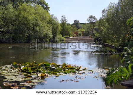 Lily pond with trees to the sides and steps in the far distance.
