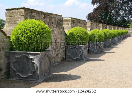 Green circular hedging shrubs in square metal, containers in a line on a path, with old stone walling to the rear.