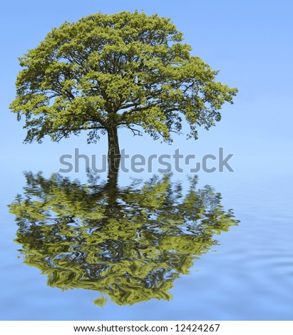 Abstract of an oak tree in summer with reflection in  rippled blue water and set against a clear blue sky.