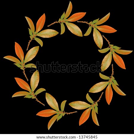 Abstract circular design of a garland of bay leaves in the colors of autumn forming a border and set against a black background.