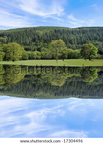 Broad leaf trees of mainly oak in rural meadows in early summer with evergreen pines and a blue sky to the rear,  with reflection over water.