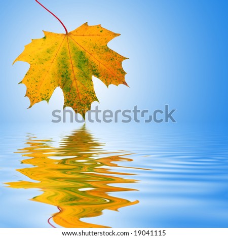 Maple leaf abstract design in autumn colors with reflection over rippled water. Over sky blue background with white central glow.