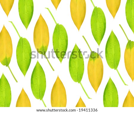 Hosta leaf abstract design in summer and autumn colors in vertical lines, over white background.