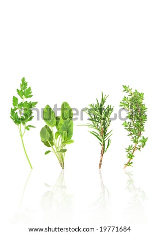 Sprigs Parsley