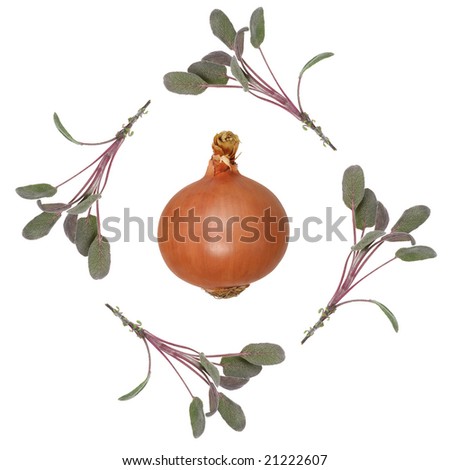 Abstract design of sage herb leaf sprigs forming a border with a spanish onion in the center, over white background.